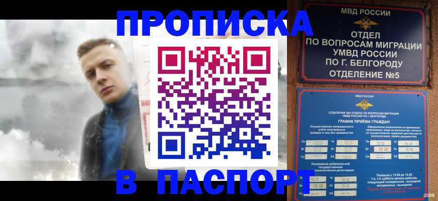 временная регистрация в Электрогорске